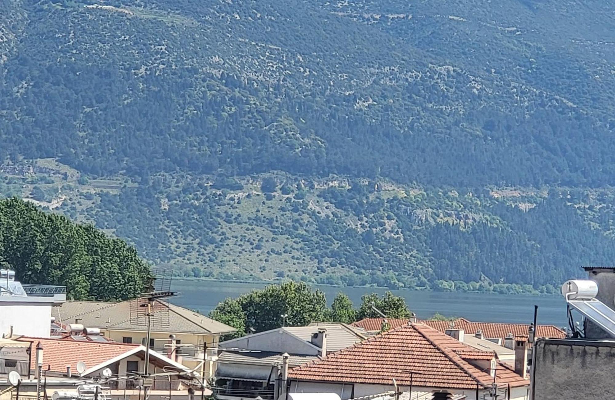 Platanakia Houses Ioannina Bilik gambar